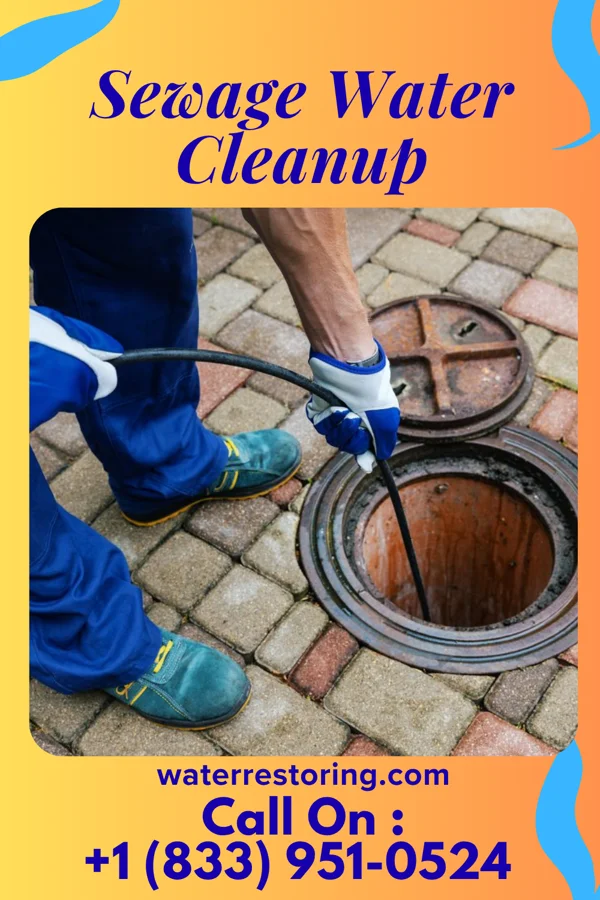Sewage Water Cleanup in Kirtland, OH