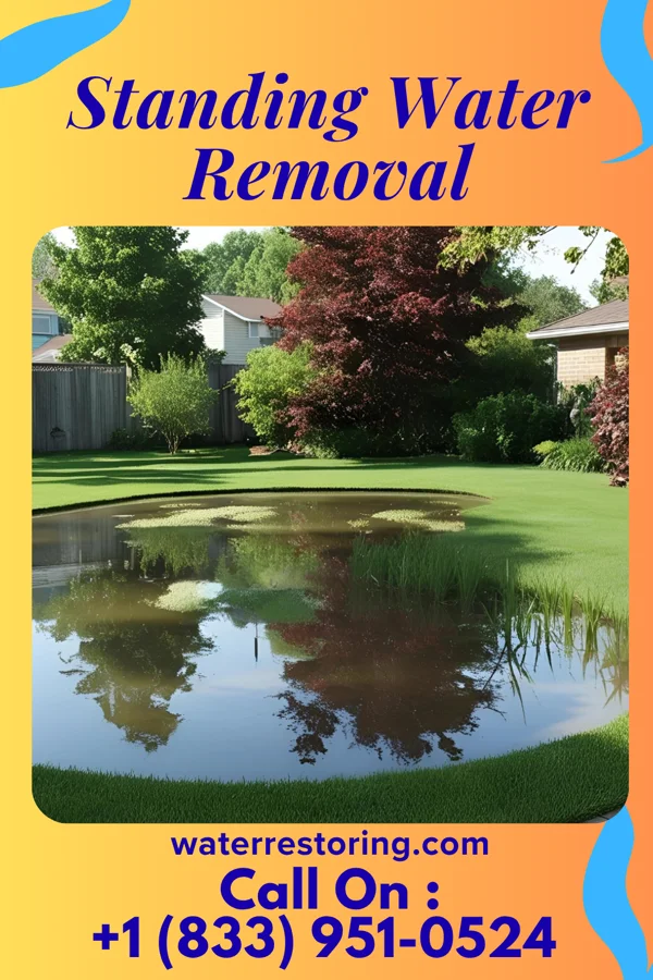 Standing Water Removal in Kirtland, OH